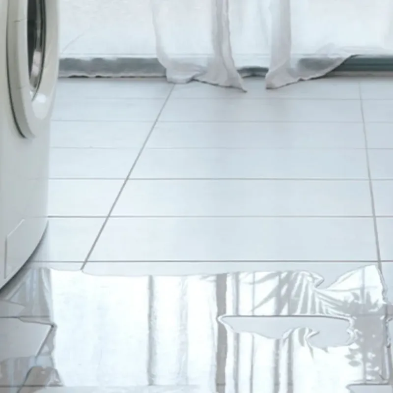 Appliance Leak Cleanup in Hardin County, TX
