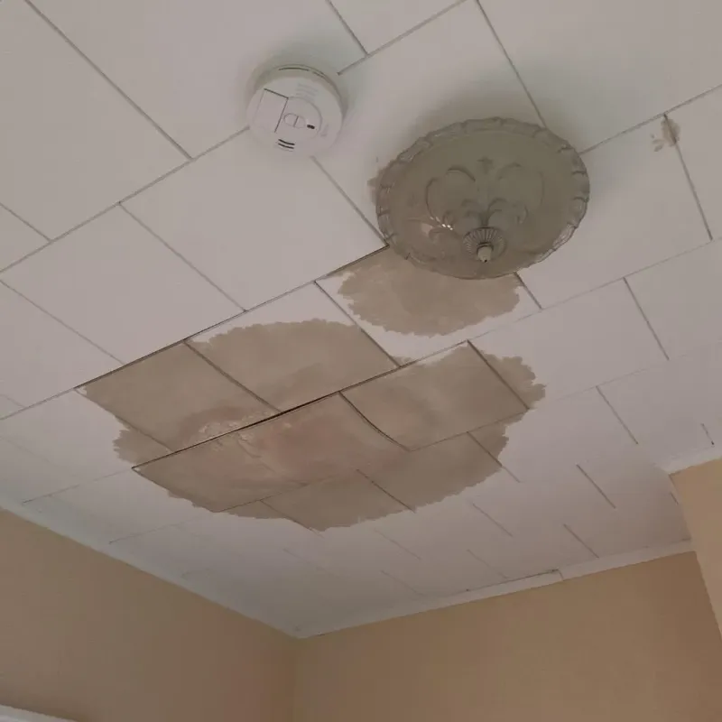 Ceiling Water Damage Repair in Hardin County, TX