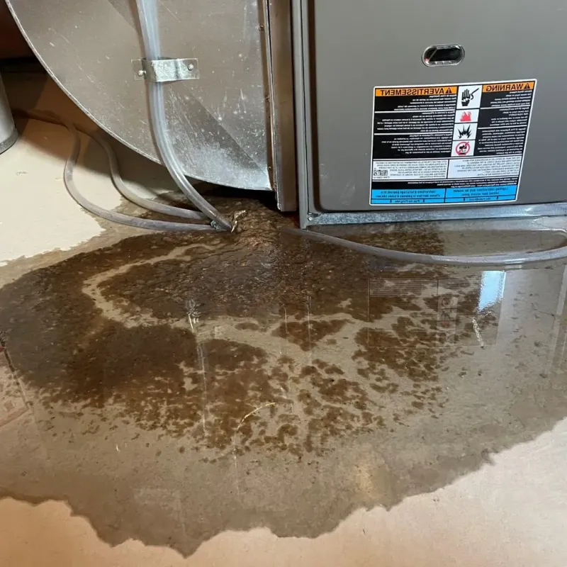 Pipe Burst and Leak Restoration in Hardin County, TX