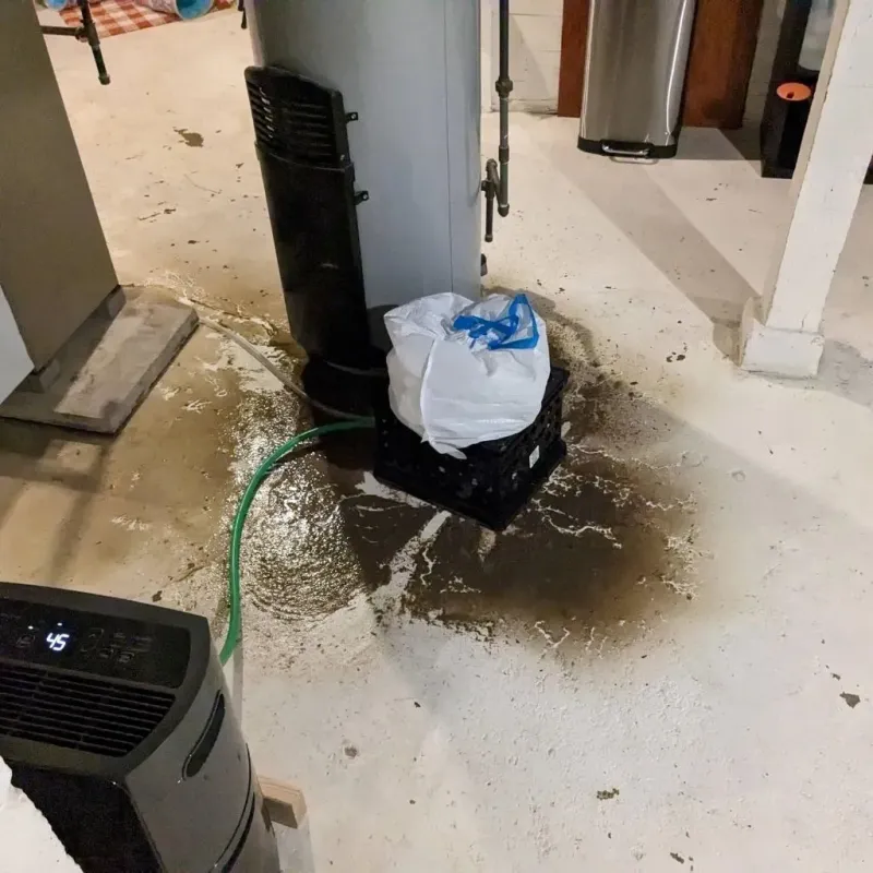 Sewage Backup Cleanup Service in Hardin County, TX